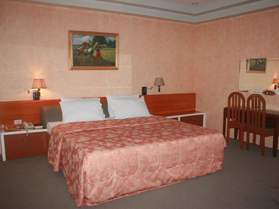 Hotel Elena ダバオ　シティ エクステリア 写真